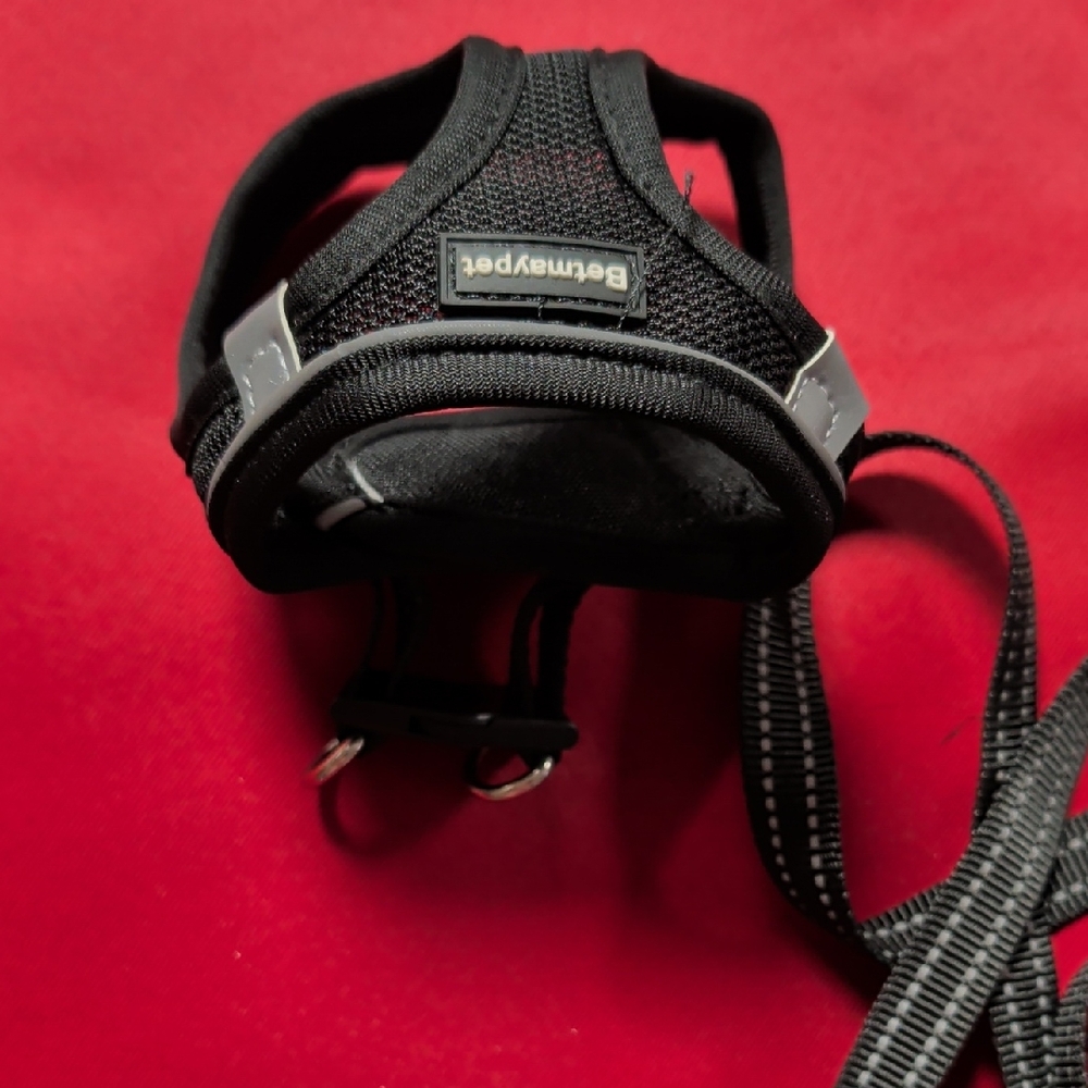 Xxs Harness And Leash